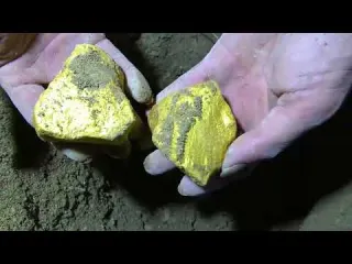I Found a Megalodon Shark Tooth Underwater While Fossil