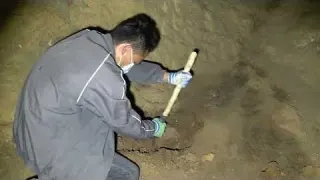 The History of Metal Detection Treasure Stories from