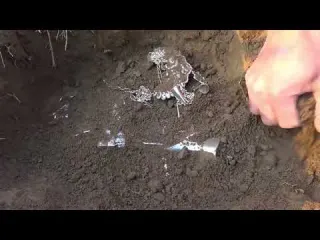 The secret treasure hidden in the wilderness
