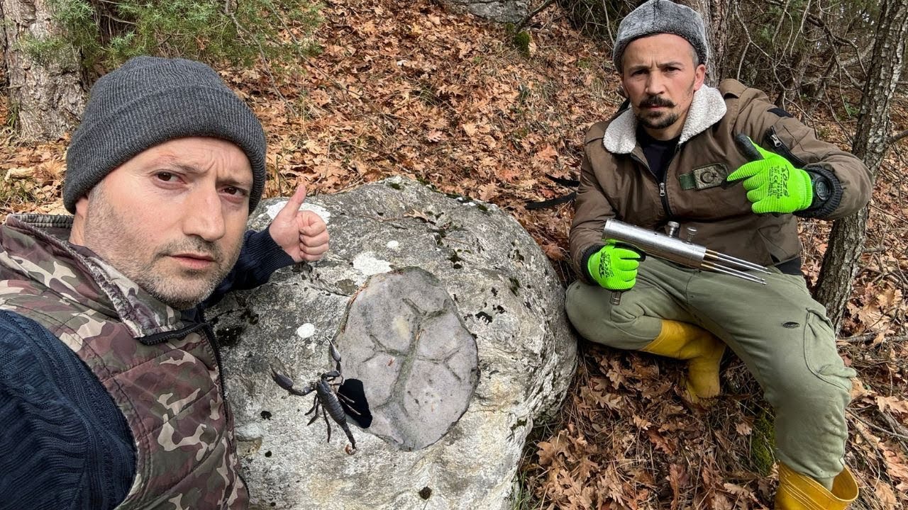 Defineyi Koruyan Akrebi Görünce Olaylar Başladı