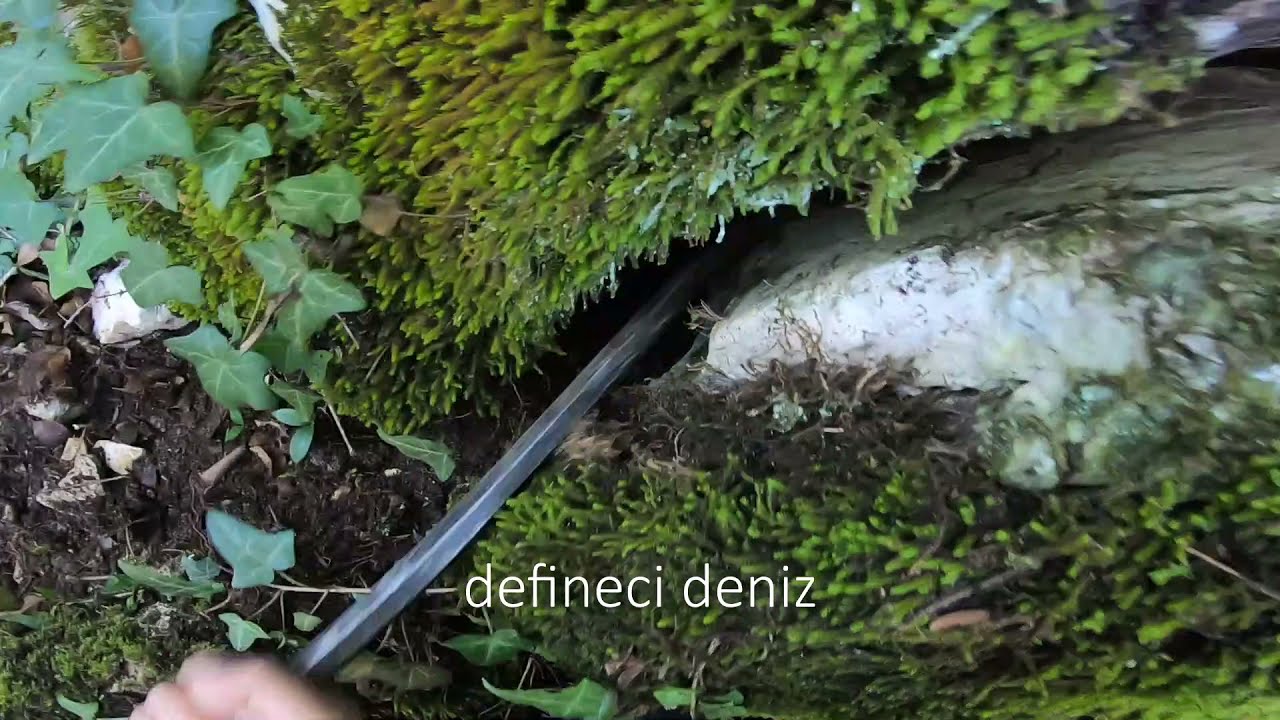Büyük Defineyi Buldum Kayanın Arakasında