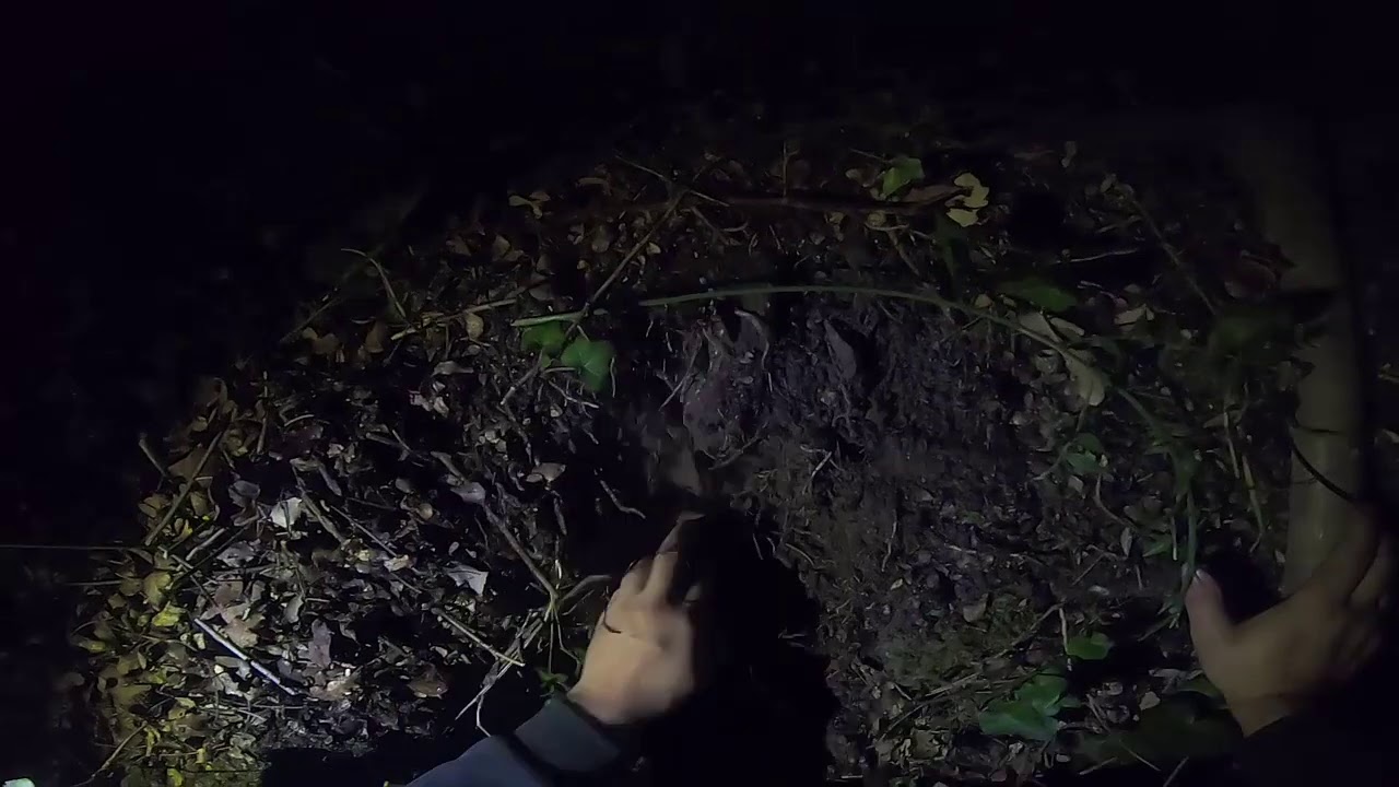 Gece Define Kasasını Açarken Musallat Oldular