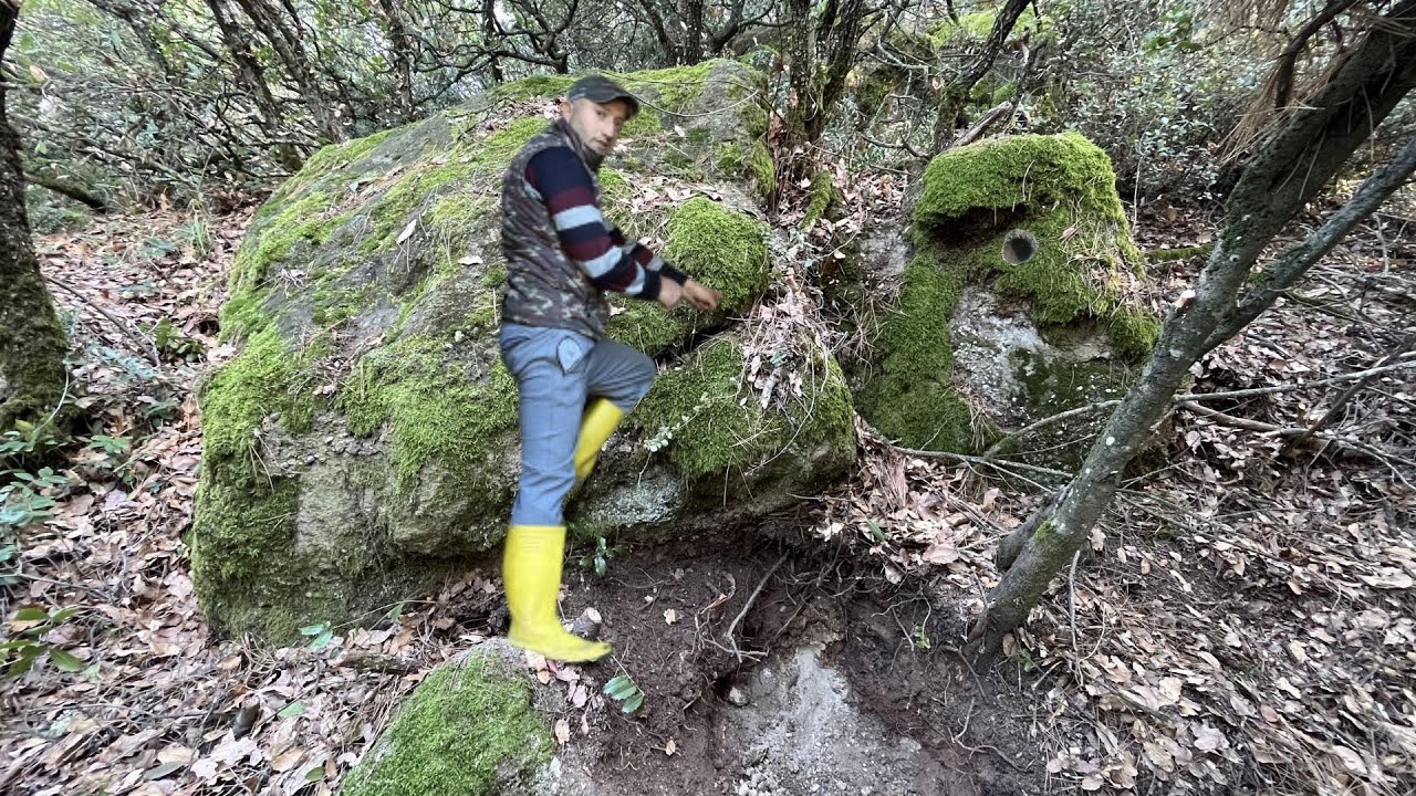Müjde Buldum Kaplumbağanın Yanında Definesi Çıktı