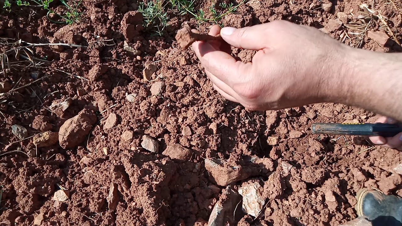 Dedektör İle Zeytin Bahçesinde Define Kalıntıları Arıyorum