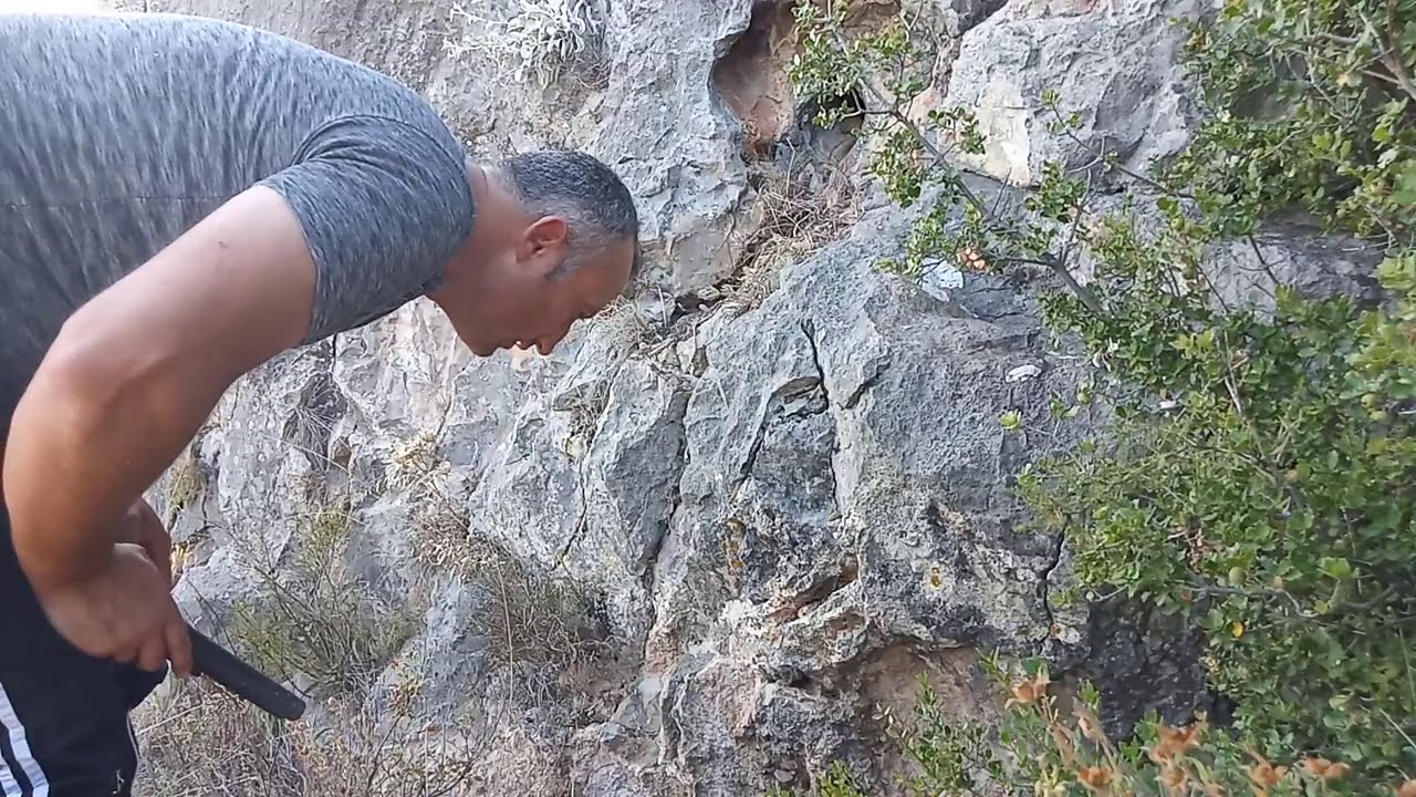 Kaya Define Kasasından Altın Paralar Çıkardım