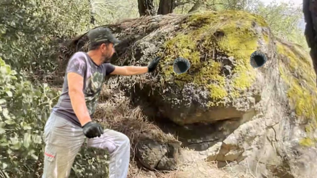 Büyük Kaplumbağa işareti Define Müjdesini Verdi