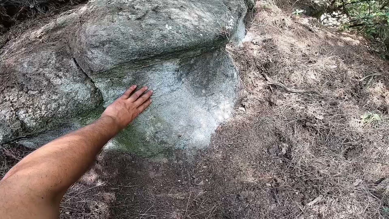 Kaplumbağanın Define Dolu kasasını Patlattım