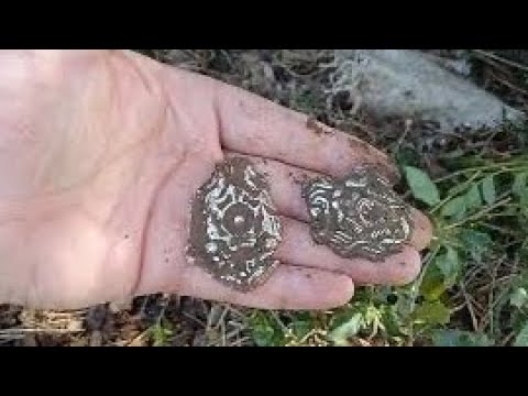 Define kasasının İçinden Gümüş Rozetler Çıktı