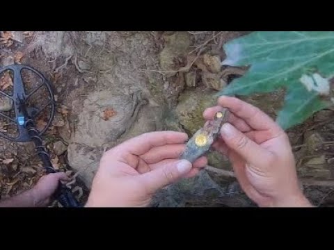 Define Deredeki Ağaç Köklerine Gizlinmiş