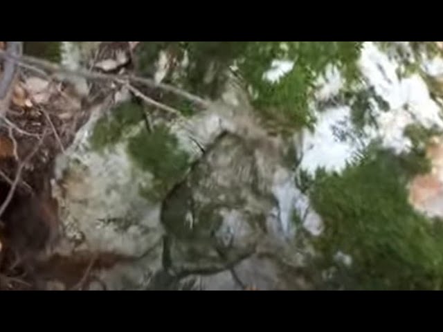 Kayadaki Define Kasasını Açmak Çok Zormuş
