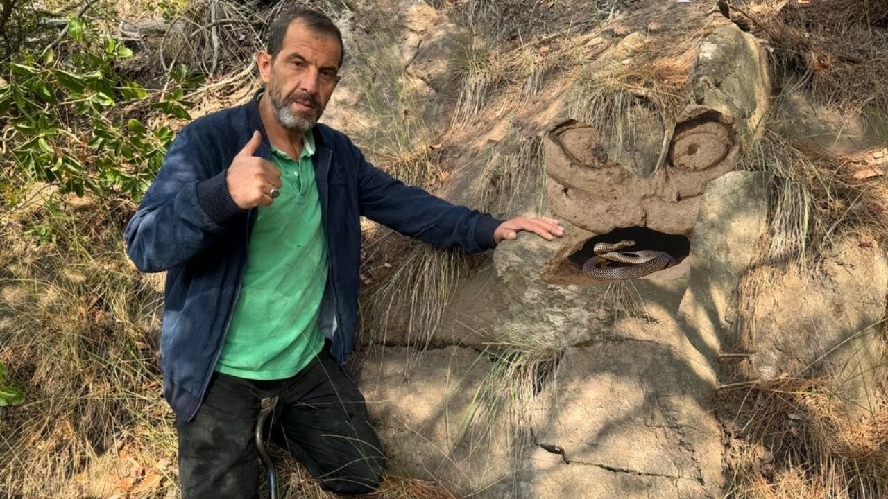 Define Kasasını Koruyan Yılan Çıkınca Saldırıya Başladı