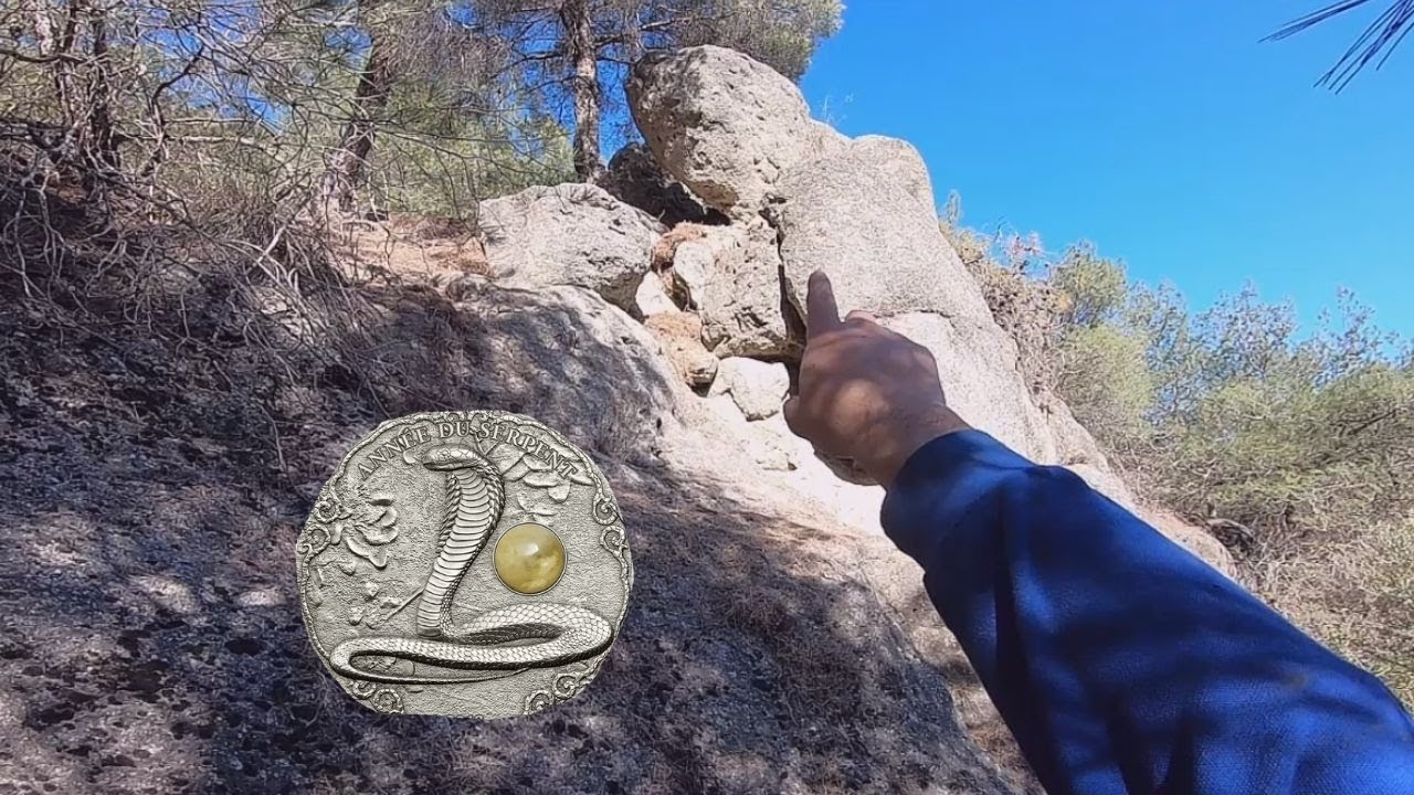 Kaplumbağa figürünün Definesini Arama Anı