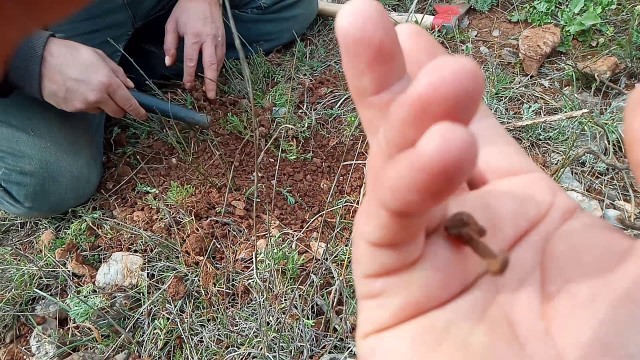 Defineciler Tarihi Bölgede Bulmaya Başladı