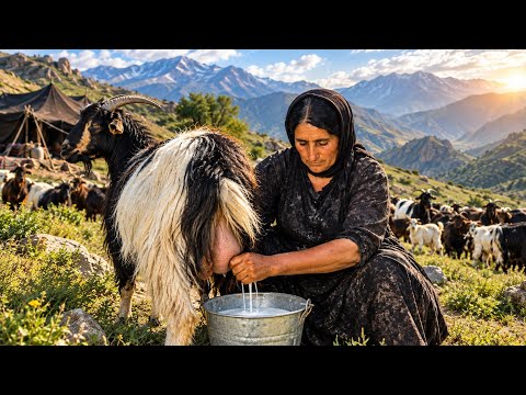 Sima Khanum Milking Her Goat Traditional Nomadic Life in