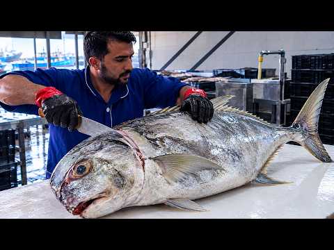 Fillet a Fish Like a Pro Fast & Easy (You Need to See)