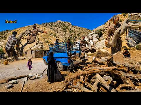 The secret to nomad survival in harsh winters: a mission to