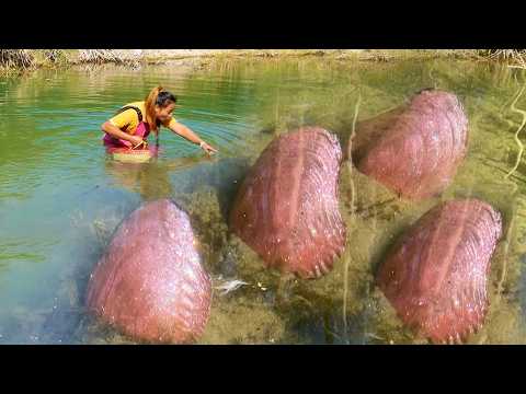 Beautiful river clams emit dazzling light underwater,