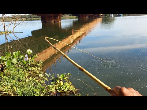 Pescaria de curimba no Rio turvo dessa forma é infalível