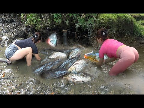 Full Video: The Girl Fishing Alone on River and Lake,