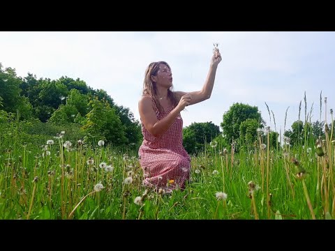 Summer Day in Our Tiny Russian Village: Country Life