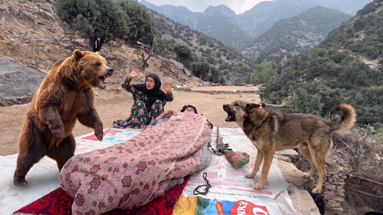 This Elderly Couple Sleeps Outdoors in the Wildest