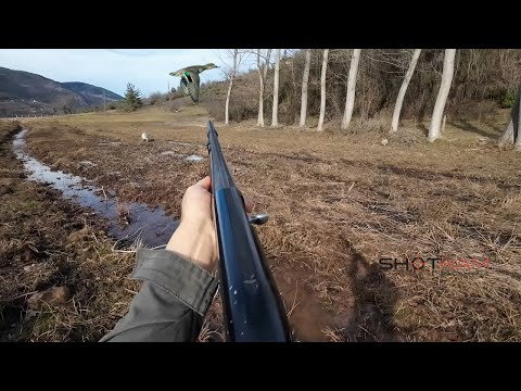 ÖRDEK VE ÇULLUK AVI çulluk avında ördekler denk geldi