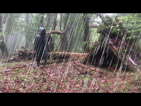 The Craziest Camping in Heavy Rain – Solo Camping Under a