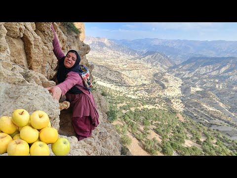 Kulthum's long journey for mountain fruits: Zolma Bazegasht