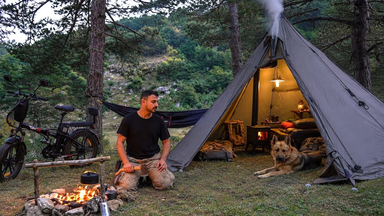 Bushcraft Camping in the Forest with My Dog and Bike
