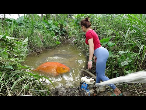 Greatest Fishing Videos: Fishing Catching Fish With Pump,
