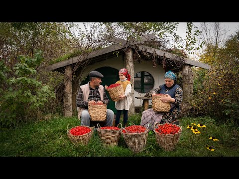 Harvesting and Cooking Wild Hawthorn Jam