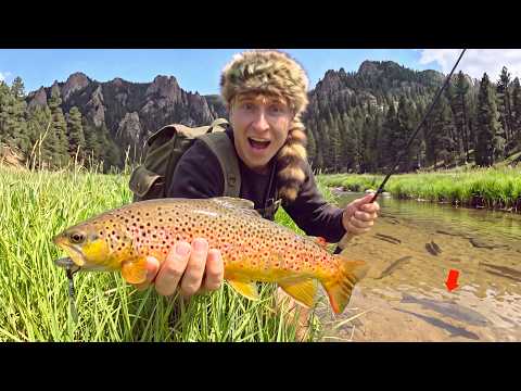 48 Hour Trout Fishing Adventure - Black Hills, Camping &