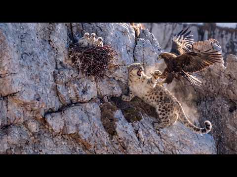 The Eagles Left for Twenty Minutes That Was All He Needed