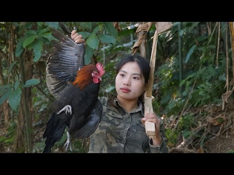 wild chicken hunting skills, making tables and chairs,