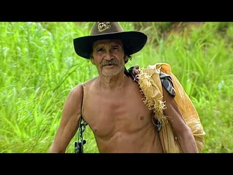 Costa Rica, le paradis pour scientifiques et aventuriers