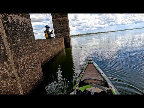 Pescaria de corvinas e bagre no pilar da ponte no meio do