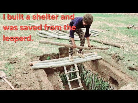 "Building a Secret Underground Shelter for Survival"