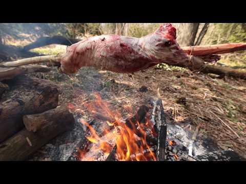 3 Days Surviving in Canada's Wild - Shelter Build, Food,