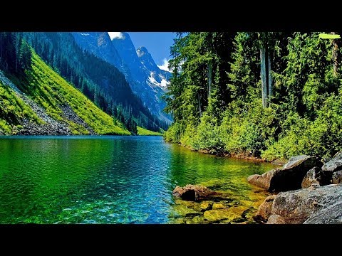 Rahatlatıcı nehir ve doğa görüntüleri| Relaxing river and