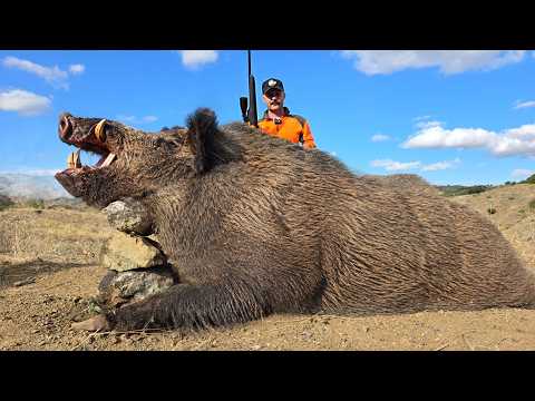 DEV AZILI YABAN DOMUZU AVI GIANT MONSTER WILD BOAR HUNT