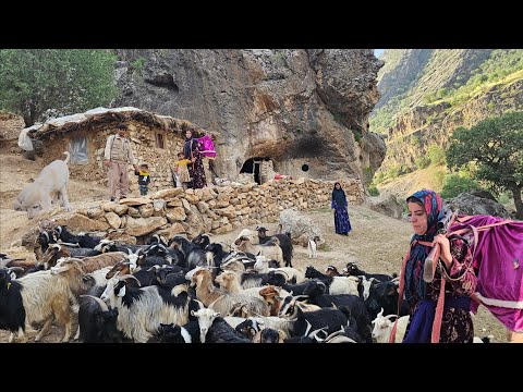 Pure moments of traditional nomadic migration: Kulthum's
