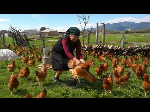 AZERBAIJAN Grandma Cooks Grape Leaf Dolma Inside a Whole