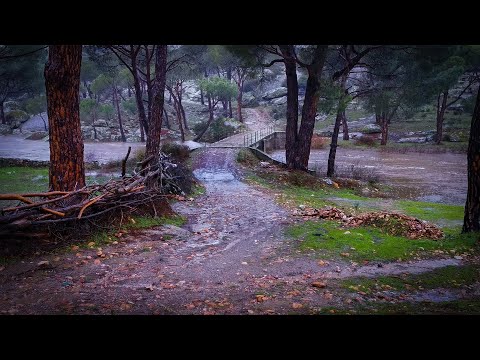 Sağanak Yağmurda Doğada Yürüyüş, 4K - Nature Walking in