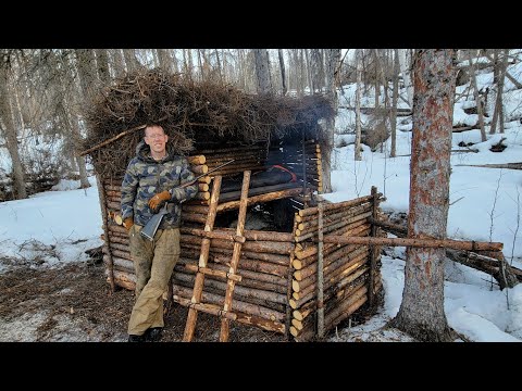 I Destroyed My Bushcraft Survival Shelter - It Caught Fire