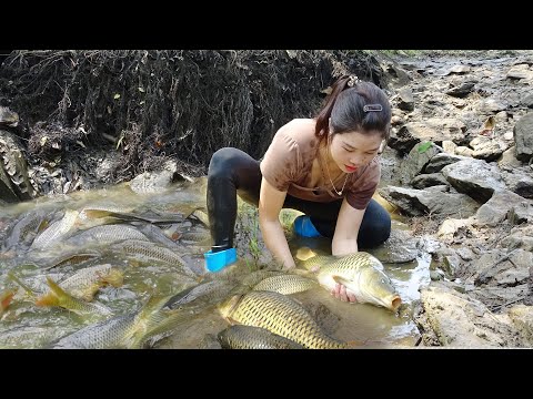 Amazing Fishing / Hunting Wild Fish / Unique Fishing /