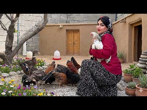 Rural Life and Traditional Cooking How to Make Delicious