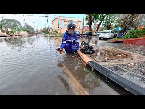Remove plant leaves and debris that are blocking the drain