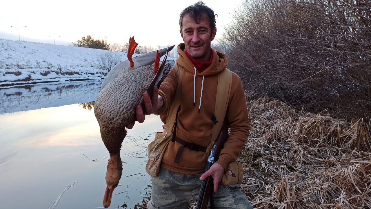 2021 Parlama Ördek Avı, DUCK HUNTING, CHASSE AU