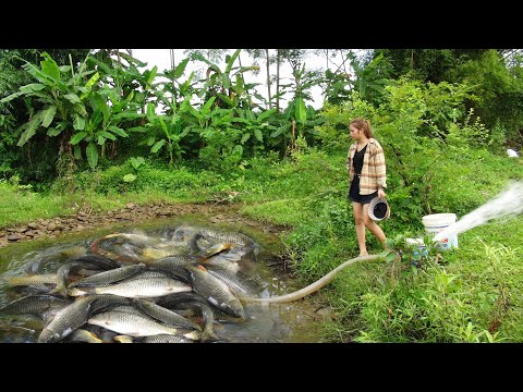 Modern Technology Catch Many Big Fish - Pump Fishing