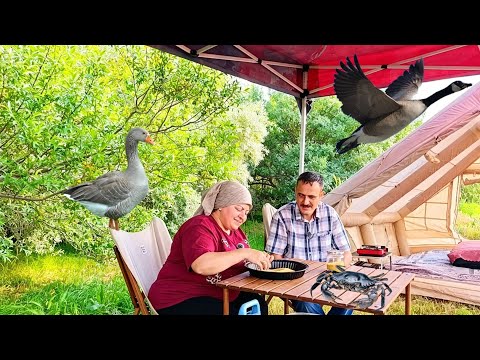 KAMPA YENGEÇ VE YABAN KAZLARI GELDİ.
